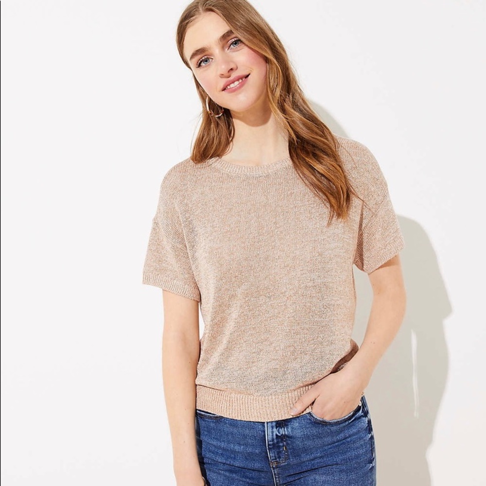 Petite Shimmer Dolman Sweater Tee